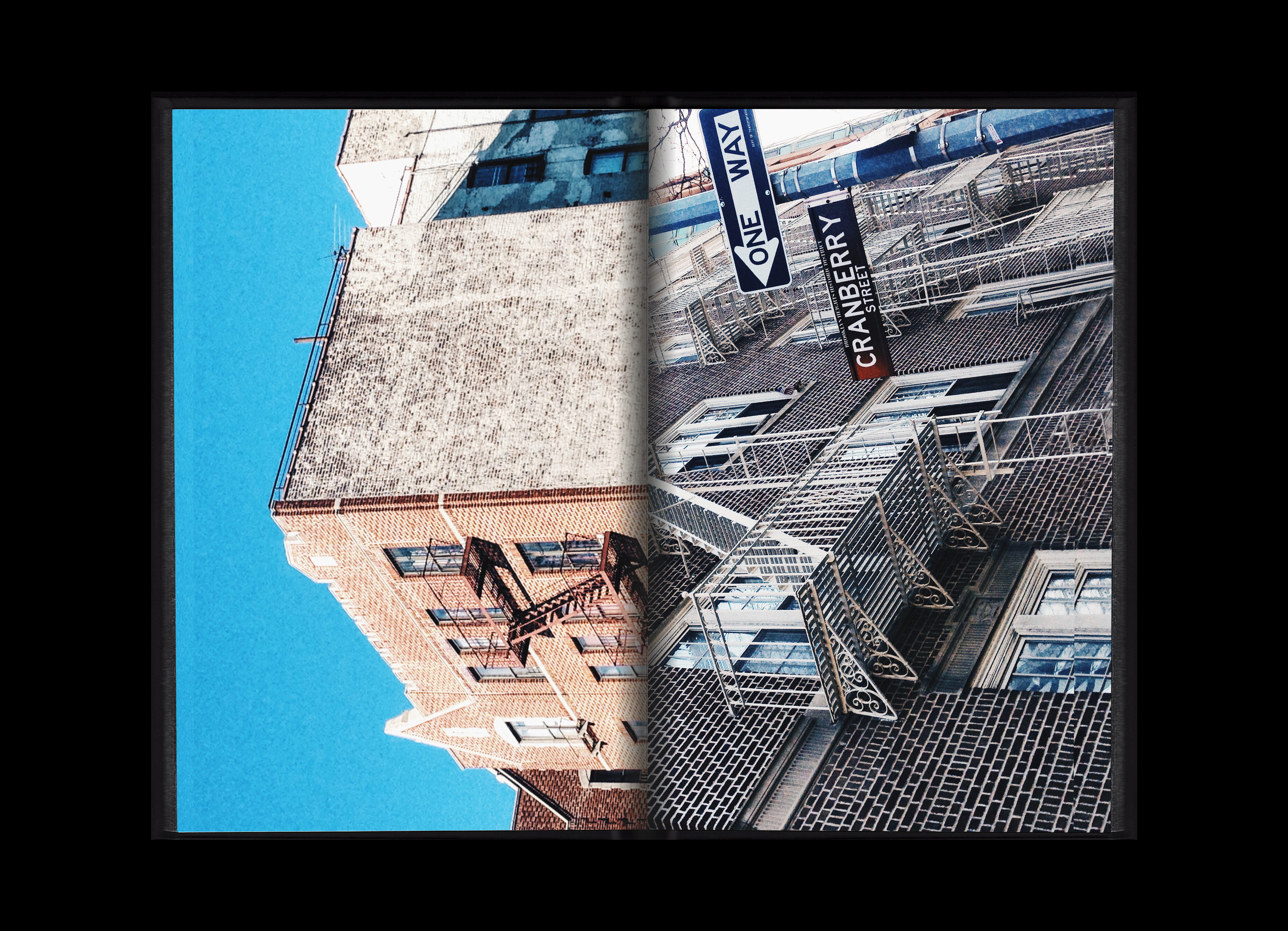 http://julienbaiamonte.com/content/1-projects/untitled-photobook-i/ce_nyc06.jpg