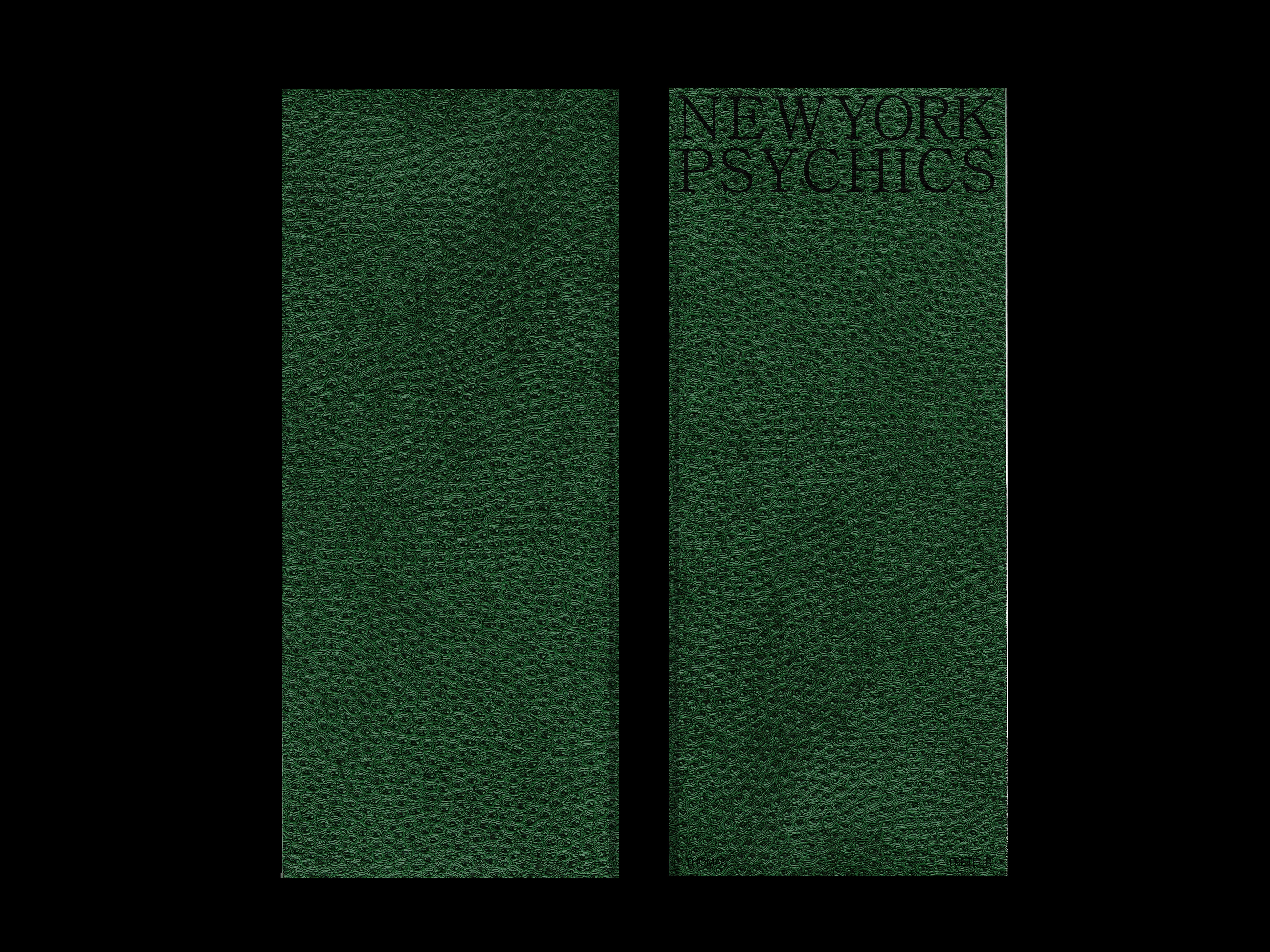 https://julienbaiamonte.com/content/1-projects/new-york-psychics/nyc_psychics_scan002_baiamonte_251019.png.png